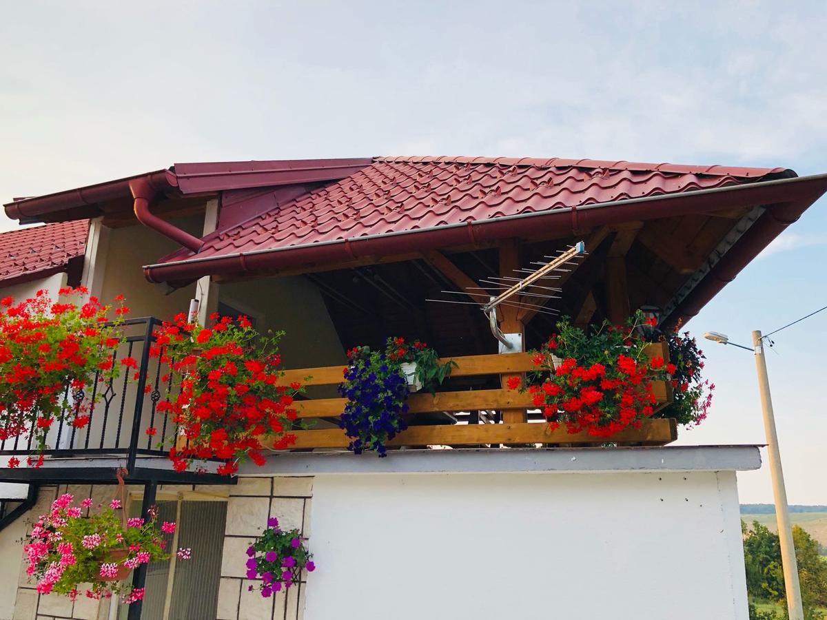 Apartment Jakovljevic Gornji Vaganac Екстериор снимка